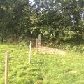 20140916 LE BOSQUET FENCING & POND WORKS 09